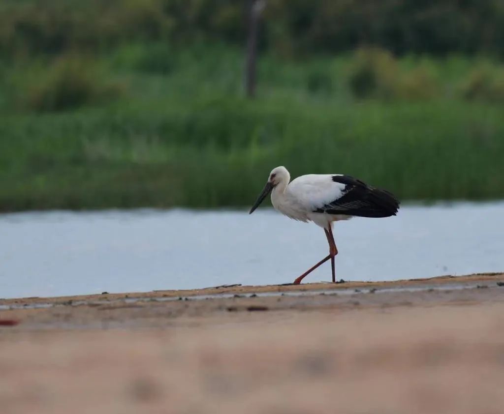 圖片關鍵詞 圖片