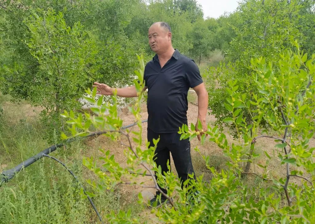 圖片關鍵詞 圖片