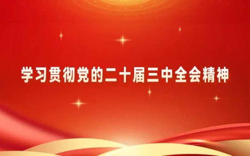 學習貫徹黨的二十屆三中全會精神 - 榮程青年為推進中國式現代化挺膺擔當（二）