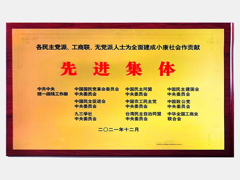 各民主黨派、工商聯(lián)、無黨派人士為全面建成小康社會作貢獻(xiàn)先進(jìn)集體