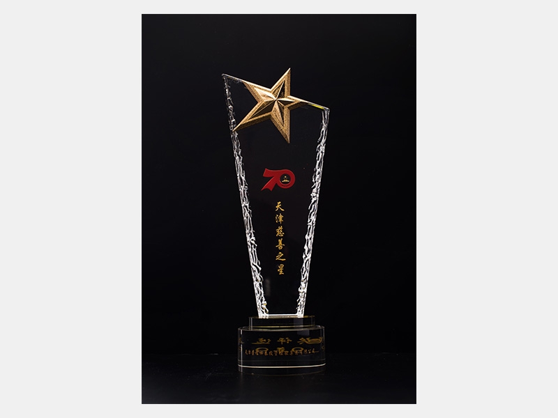 在慶祝中華人民共和國成立70周年“天津慈善獎”評選表彰活動中榮獲“天津慈善之星”榮譽稱號